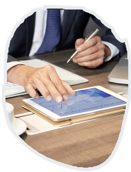 Company Annual Accounts